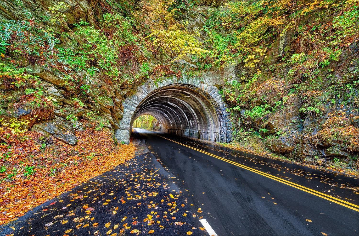 Her Majesty'S Way, Awesome Mtn Views, 1089 Free Tickets Each Paid Day, Dollywood And More แกตลิงเบิร์ก ภายนอก รูปภาพ