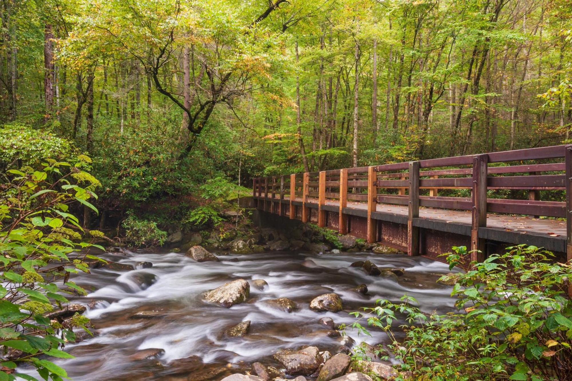 Her Majesty'S Way, Awesome Mtn Views, 1089 Free Tickets Each Paid Day, Dollywood And More แกตลิงเบิร์ก ภายนอก รูปภาพ